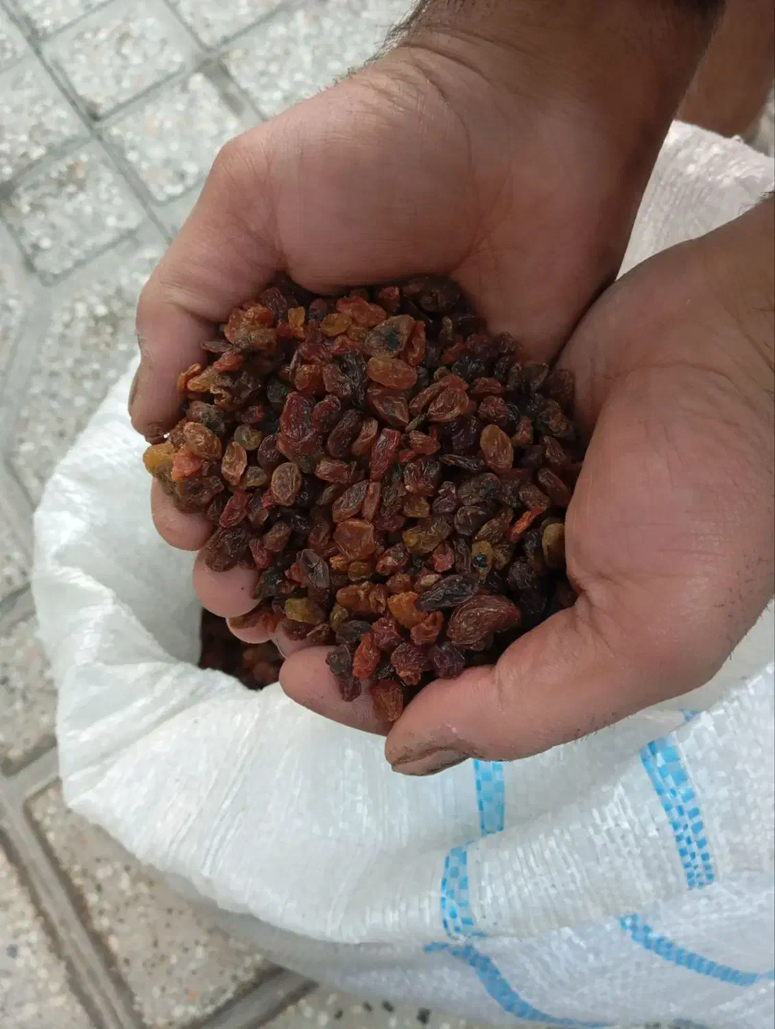 کشمش بش|خوردنی و آشامیدنی|شیراز, دباغ خانه|دیوار