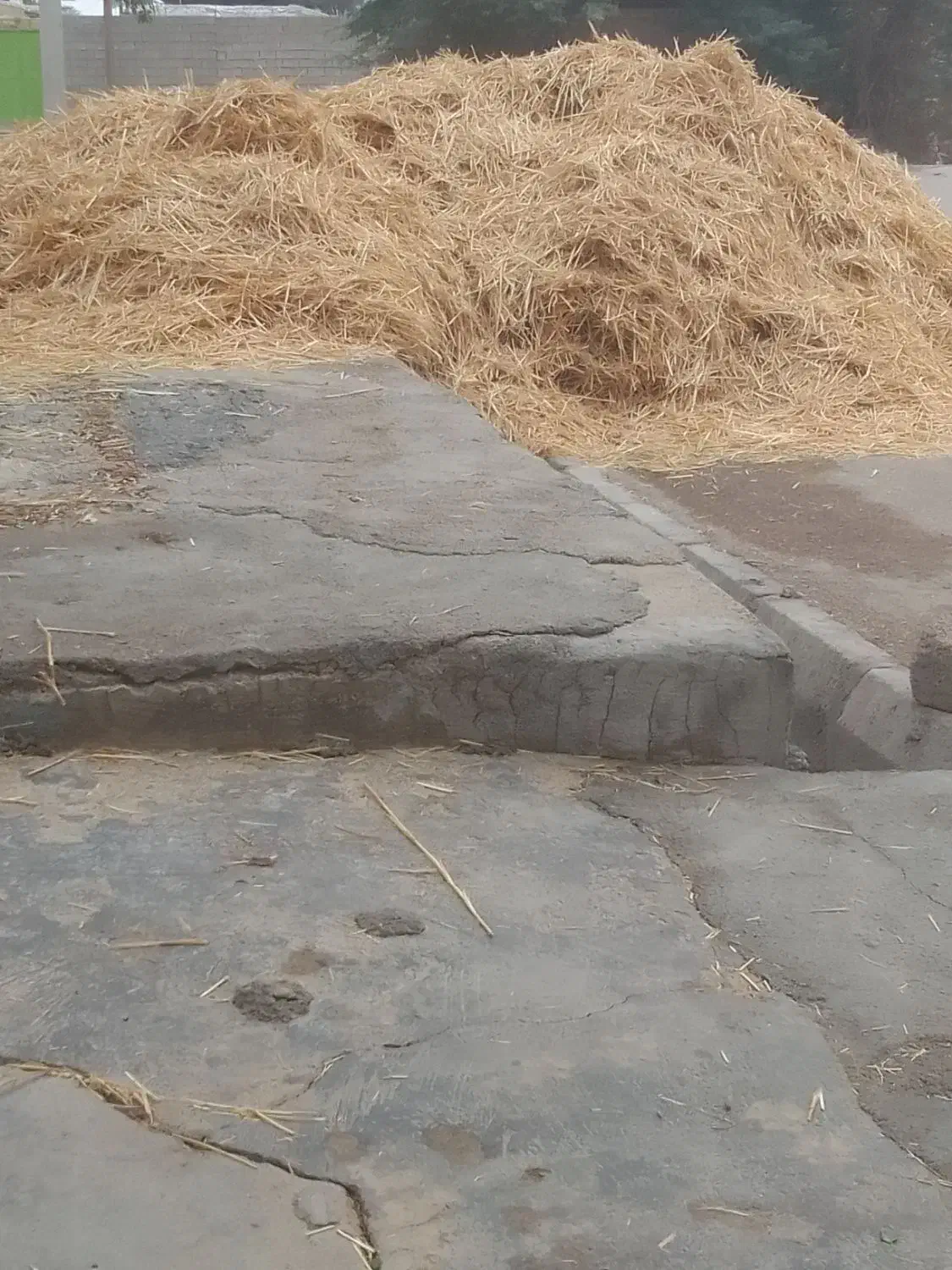 کلور|حیوانات مزرعه|امیدیه, |دیوار