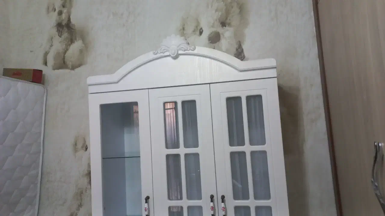 تخت وکمد|اسباب و اثاث بچه|مشهد, گلشور|دیوار