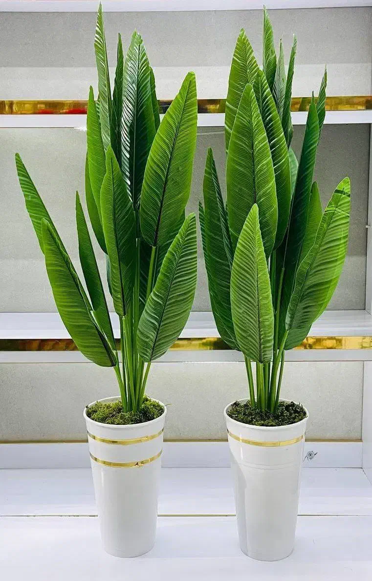 درختچه|گل مصنوعی|سنندج, |دیوار