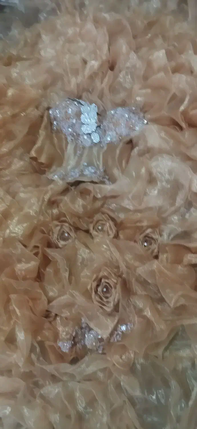 لباس مجلسی|لباس|سهند, |دیوار