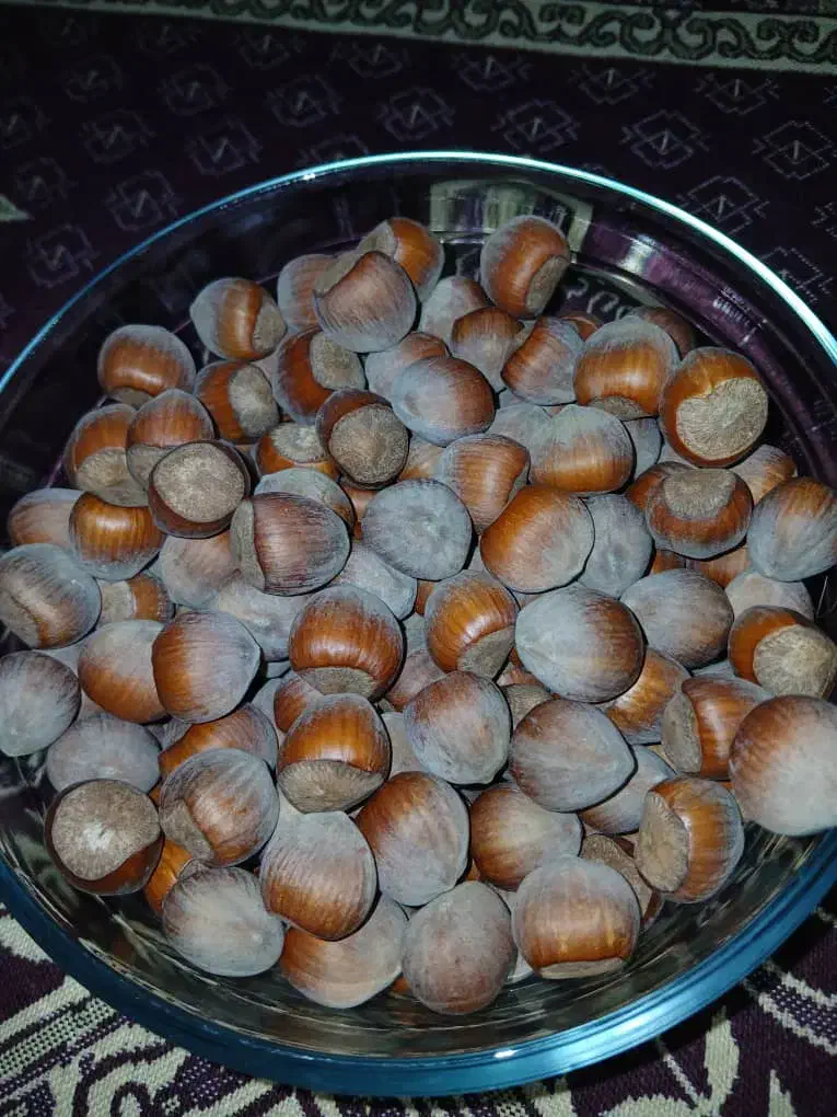 فندوق تازه|خوردنی و آشامیدنی|شهریار, شهریار|دیوار