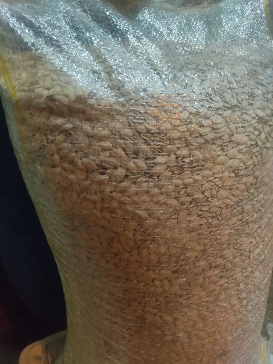 تخمه کدو|خوردنی و آشامیدنی|بهار, |دیوار