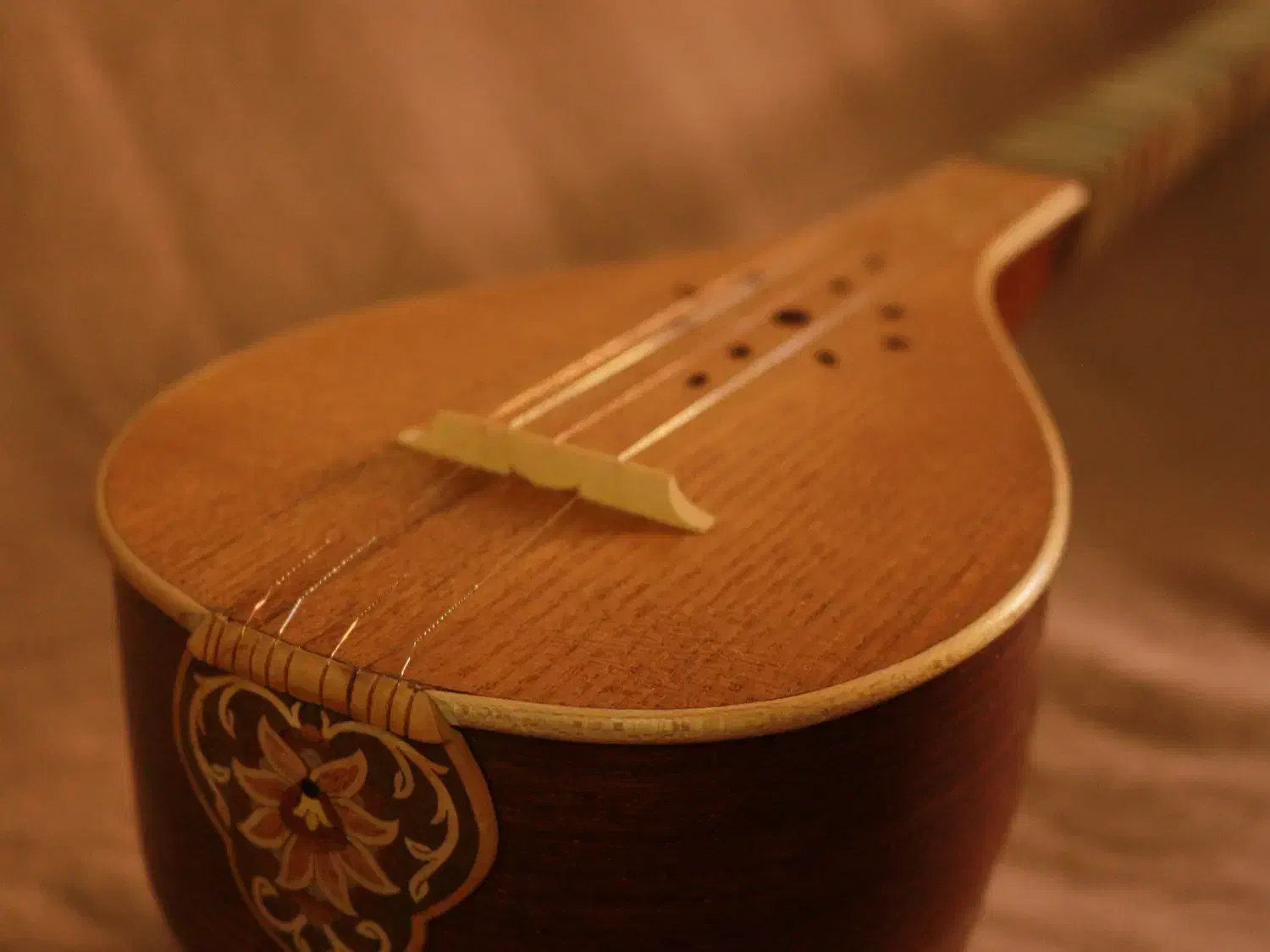 کارگاه سازگری گلچین فر|سازهای سنتی|لاهیجان, شقایق|دیوار