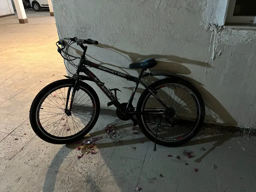 دوچرخه سایز 26|دوچرخه، اسکیت، اسکوتر|بوشهر, |دیوار