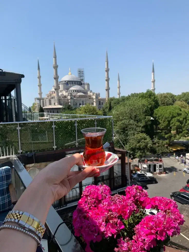 تور استانبول از دم قسطی|تور و چارتر|اصفهان, باغ زرشک|دیوار