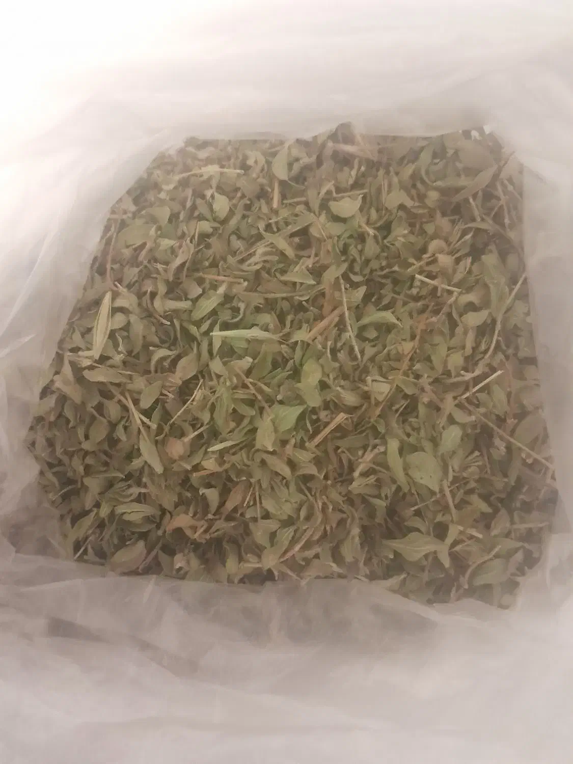 آویشن همدان تازه خالص برگ|خوردنی و آشامیدنی|ساوه, |دیوار