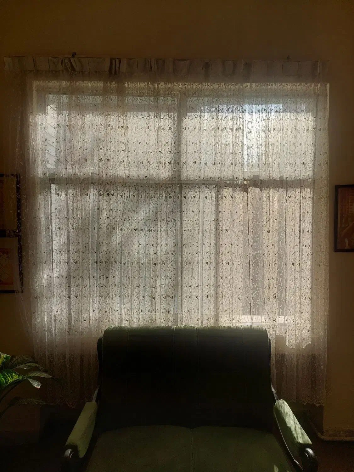 پرده تور|پرده، رانر، رومیزی|اراک, |دیوار