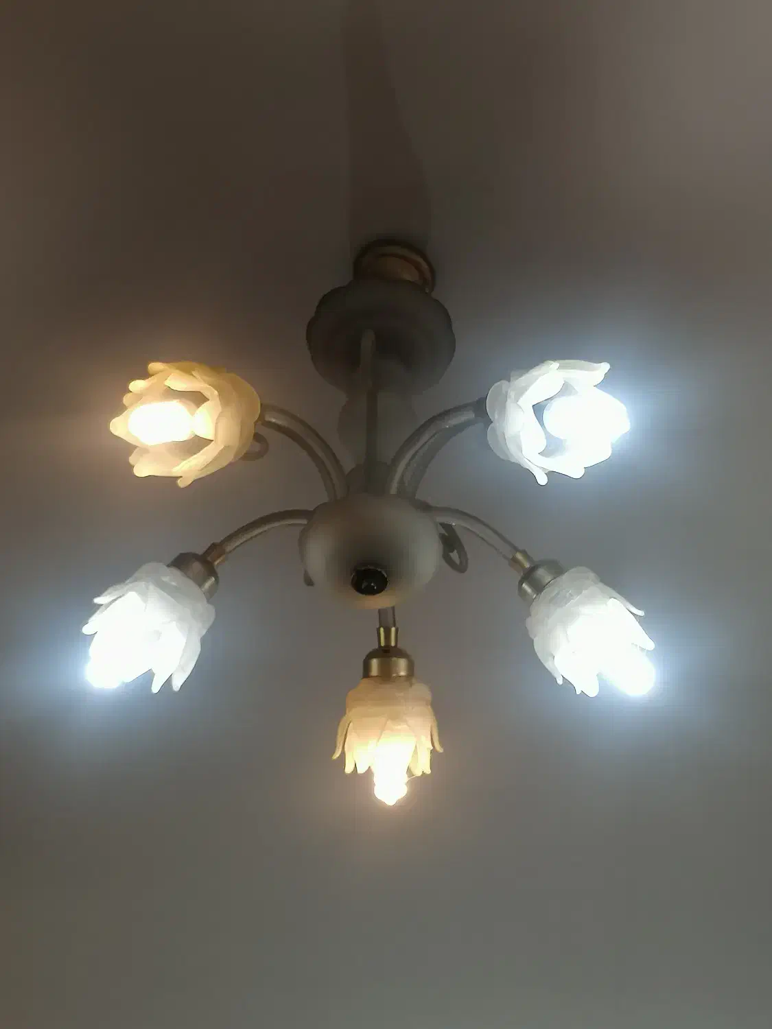 لوستر|لوستر و چراغ آویز|شیراز, غدیر شمالی|دیوار