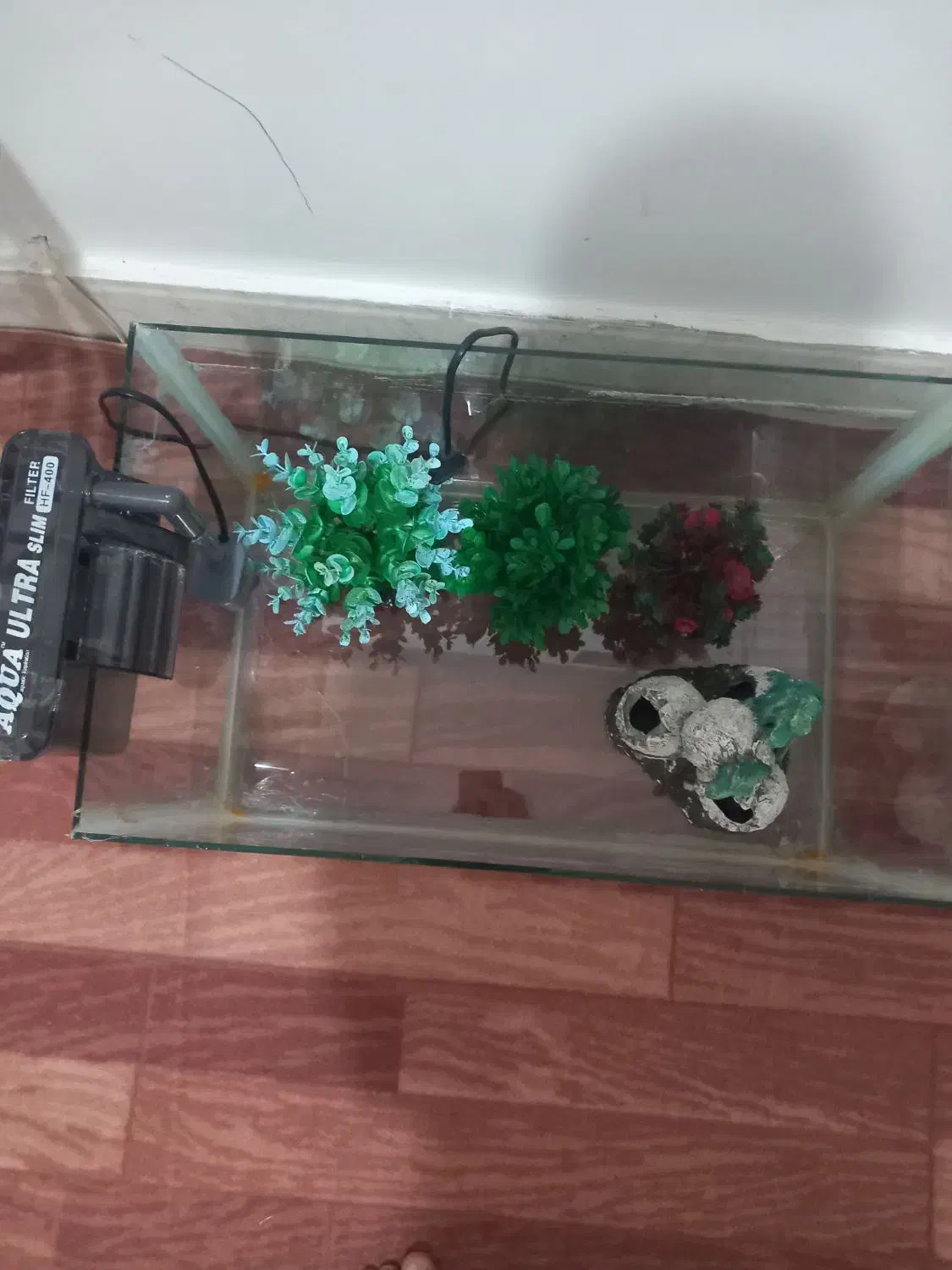 آکواریوم و تمام وسایل درون آکواریوم|ماهی|پیرانشهر, |دیوار