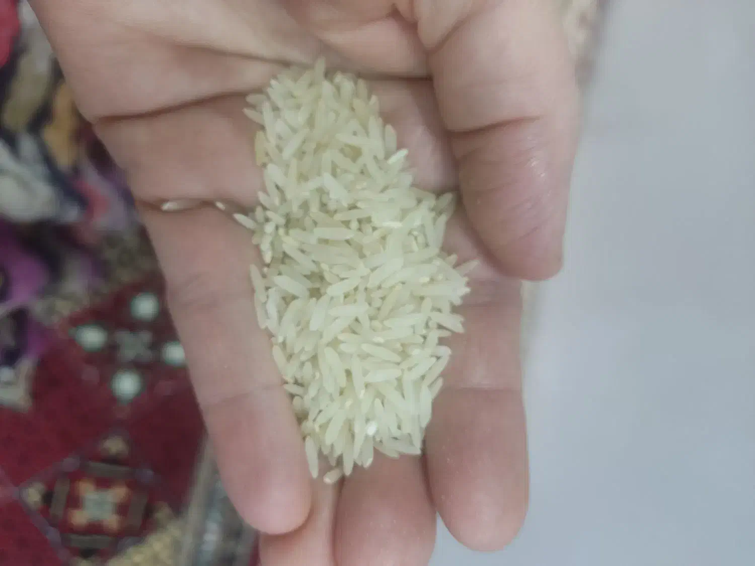 چلتیک برنج طارم چروم|خوردنی و آشامیدنی|بهبهان, |دیوار