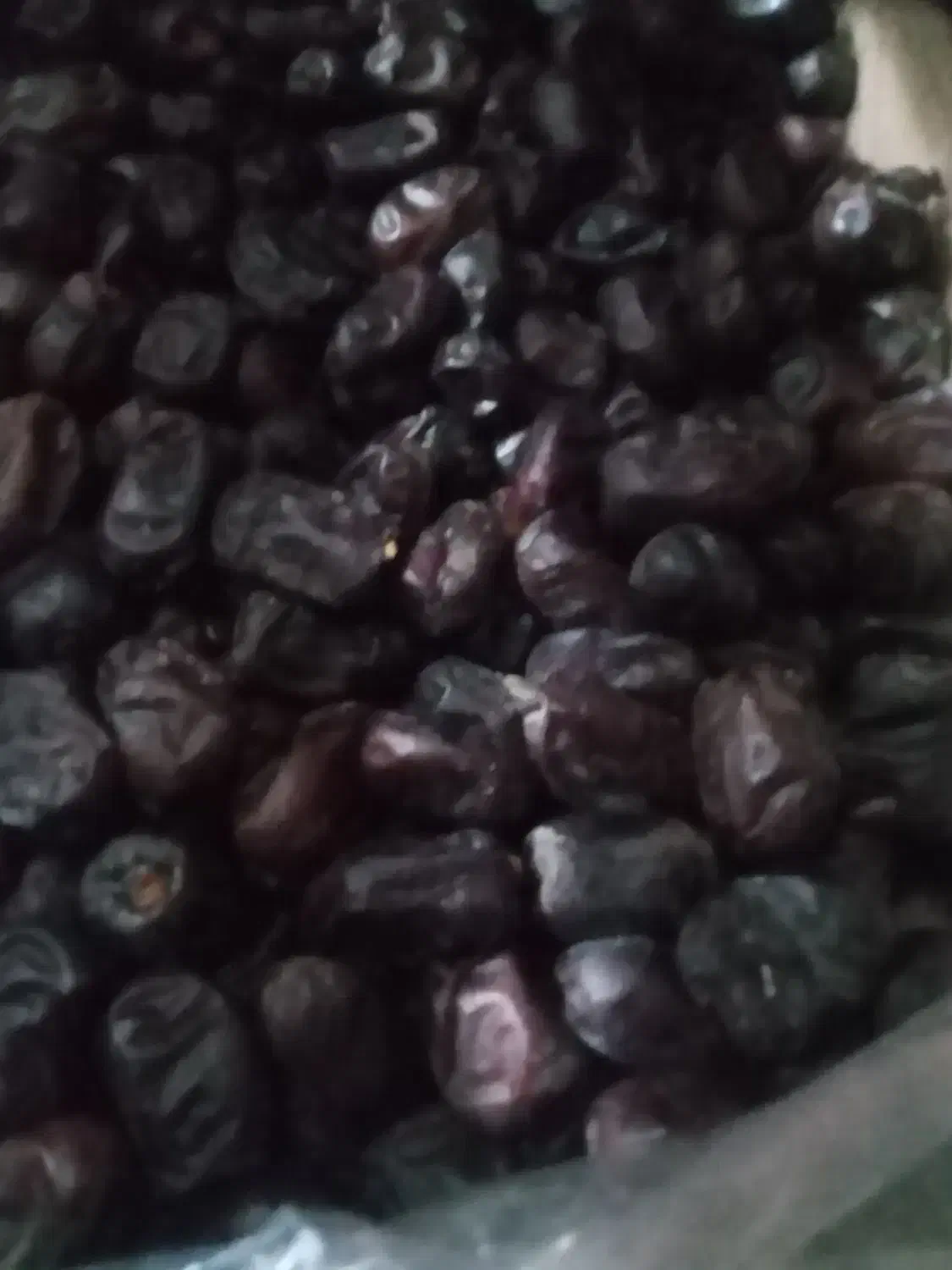 خرمامضافتی کلوته|خوردنی و آشامیدنی|کهنوج, |دیوار