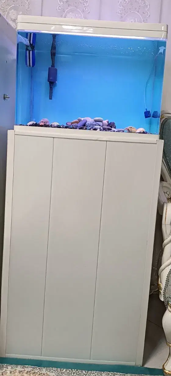 آکواریوم|ماهی|گناباد, |دیوار