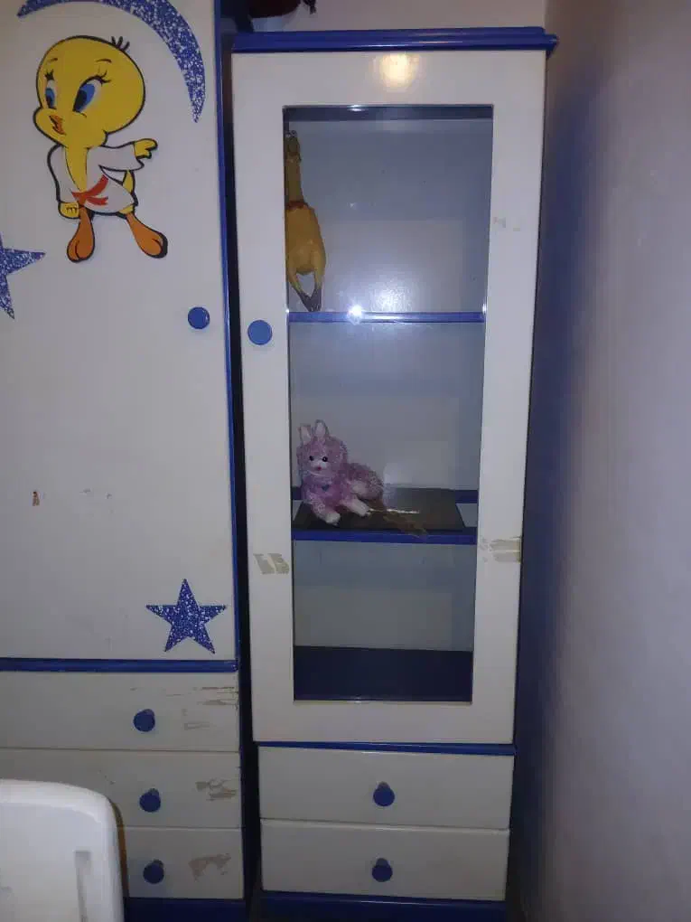 ویترین کمد ودراوررایگان|تخت و سرویس خواب|امامزاده عبدالله, |دیوار