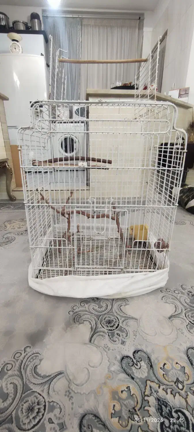 قفس کاسکو فروشی|لوازم جانبی حیوانات|پاکدشت, پاکدشت (مامازند)|دیوار