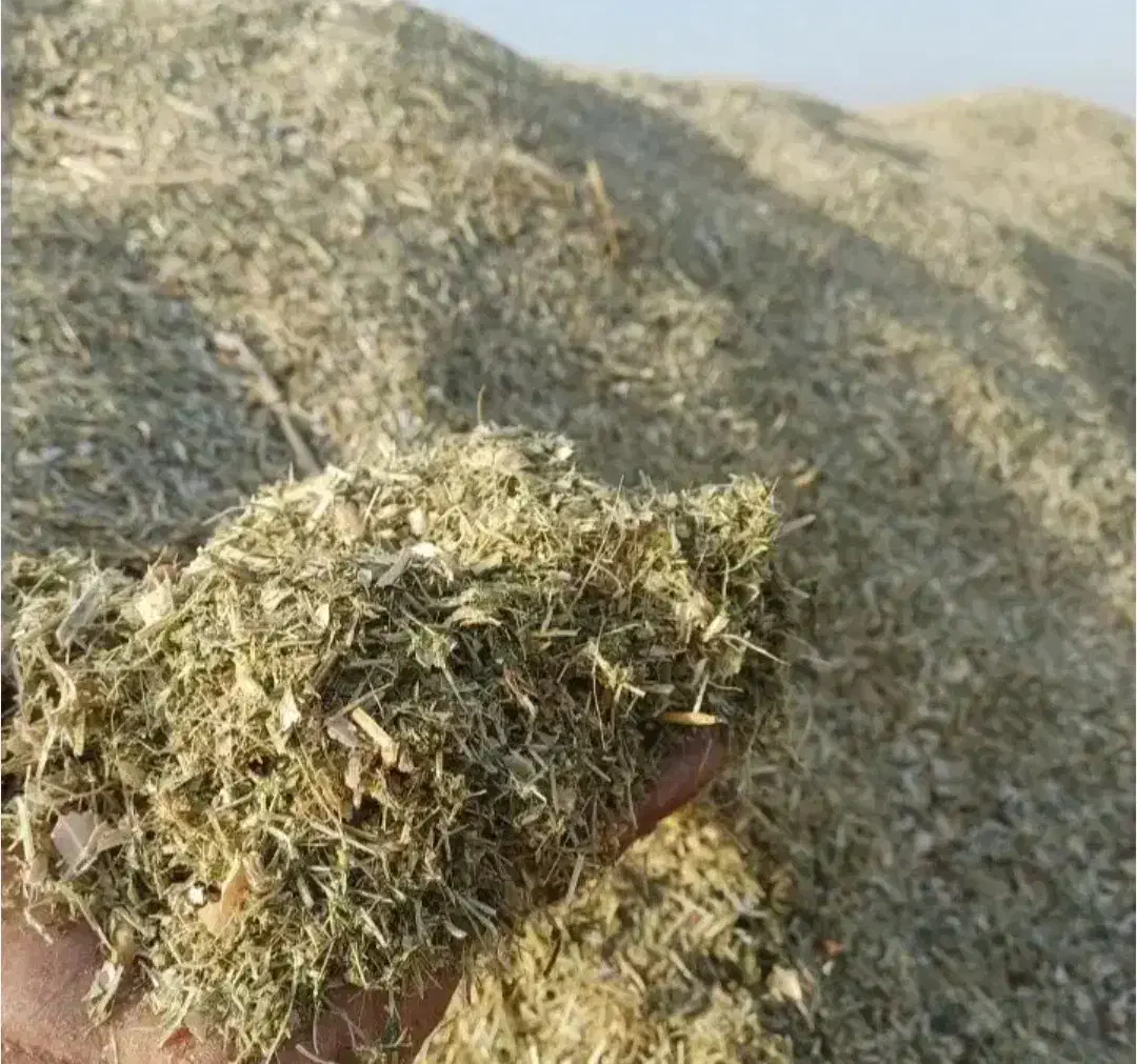 کاه لوبیا قرمز|حیوانات مزرعه|شیراز, کودیان|دیوار