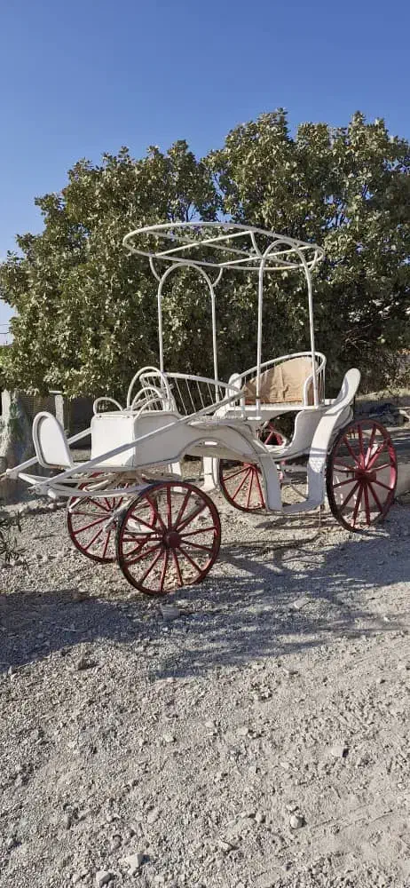 فروش کالسکه،  تجهیزات  سوارکاری|اسب و تجهیزات اسب‌سواری|ایلام, |دیوار