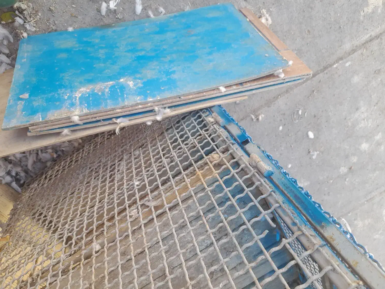 قفس آهنی|لوازم جانبی حیوانات|لاران, |دیوار