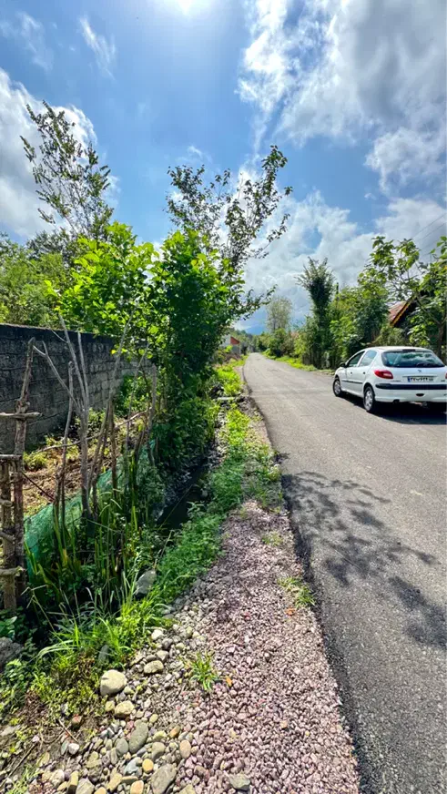 ۲۵۰متر زمین مسکونی با سند تکبرگ بر اسفالت تاپ|فروش زمین و ملک کلنگی|سیاهکل, |دیوار