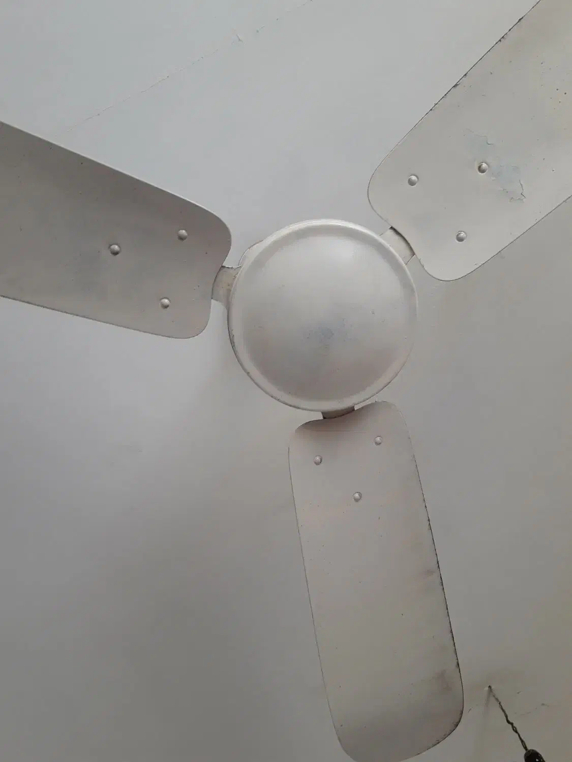 وسایل خونه|پنکه و تصفیهکنندهٔ هوا|دزفول, |دیوار