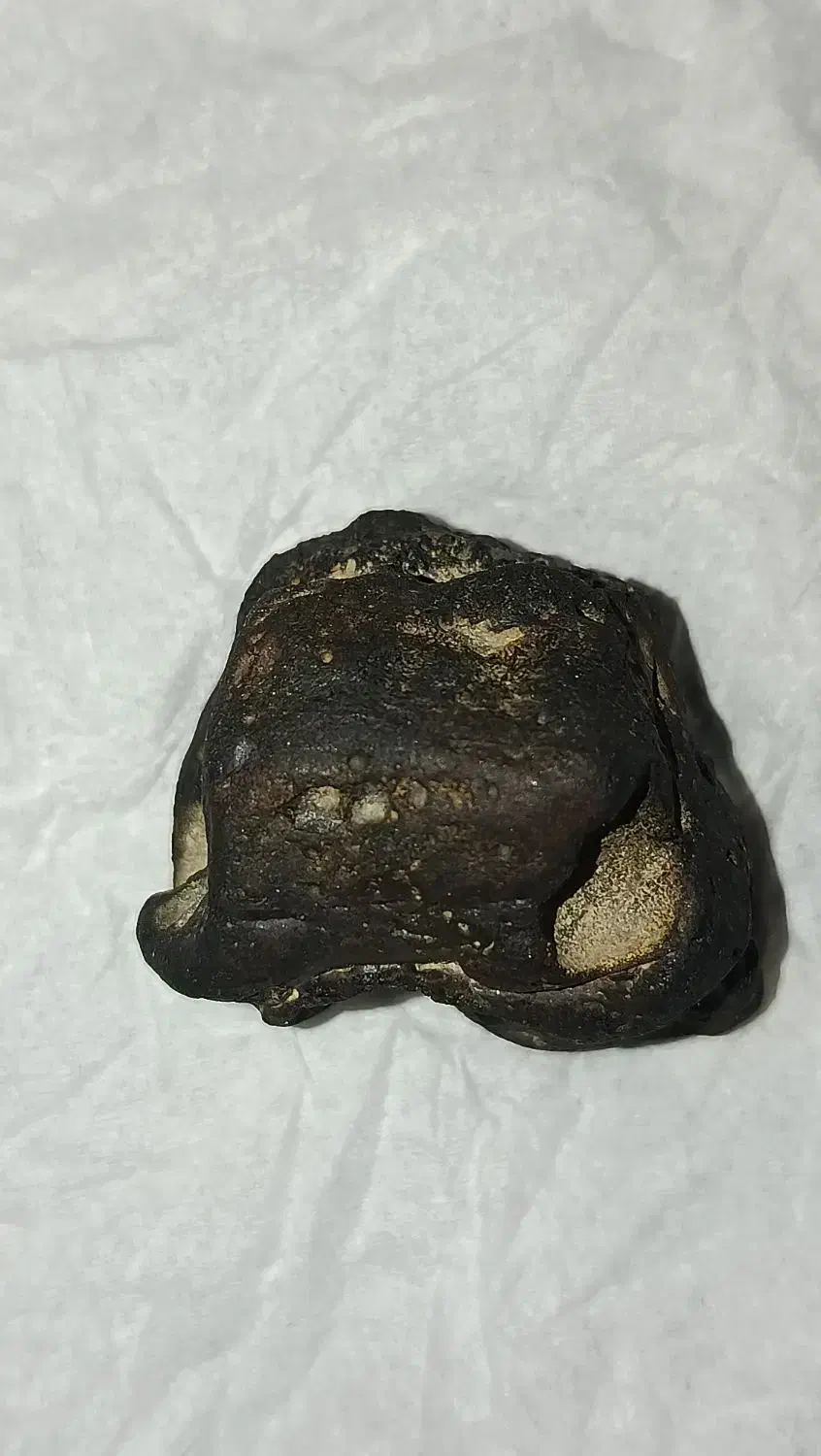 شهابسنگ واقعی و خاص|کلکسیون اشیاء عتیقه|چهاردانگه (تهران), |دیوار