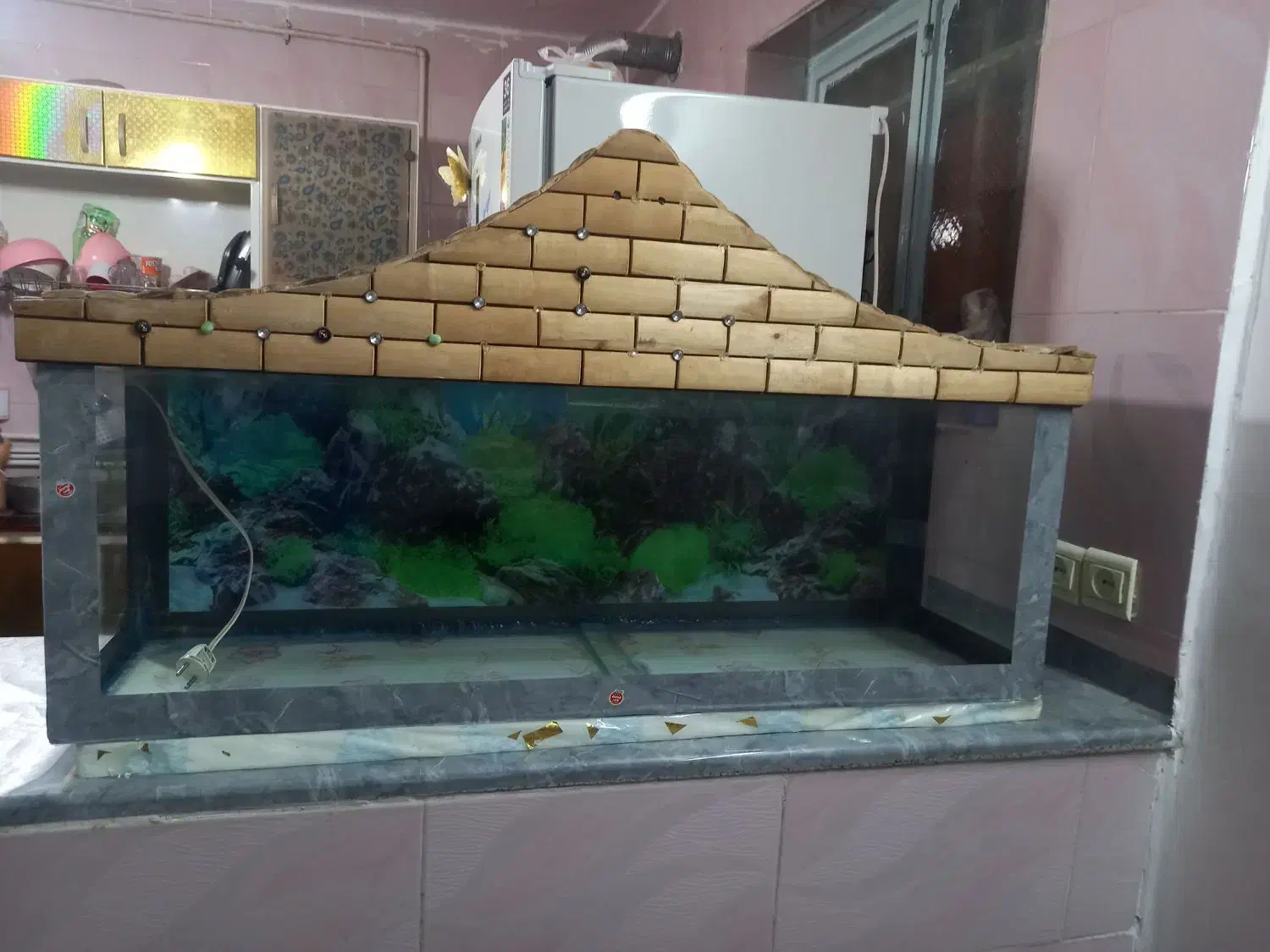 آکواریوم.وتجهیزات|ماهی|شیراز, پودنک|دیوار