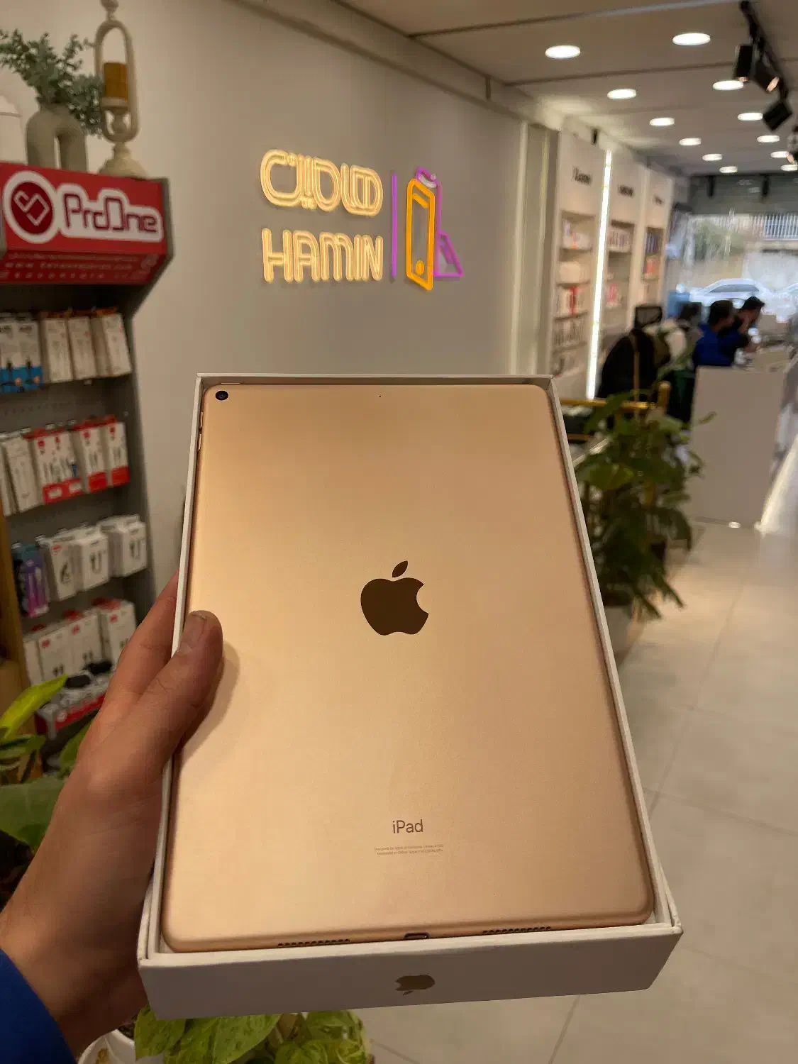 IPad 2019 256GB|تبلت|قزوین, |دیوار