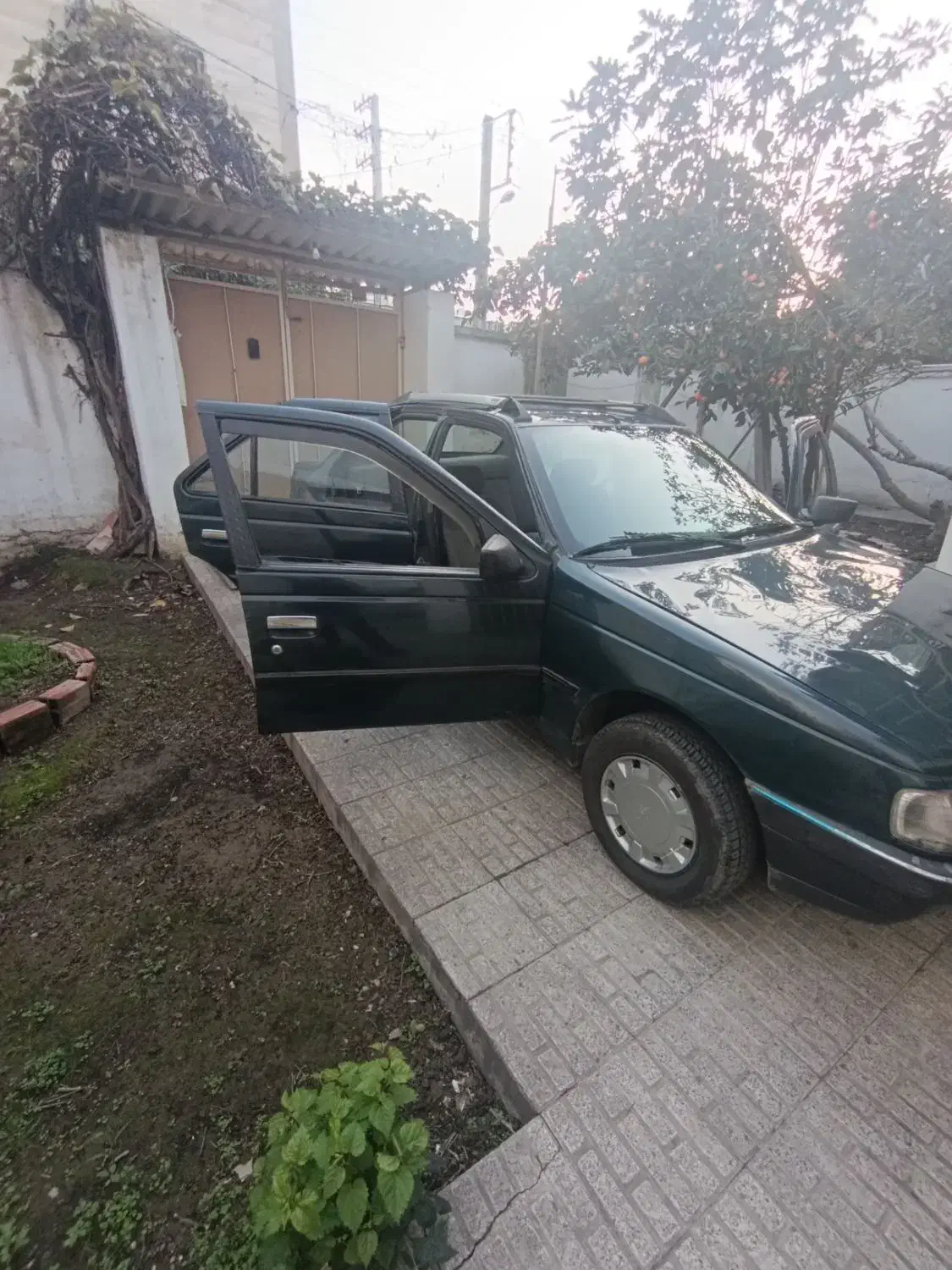 پژو آردی بی رنگ موتوری به شرط|خودرو سواری و وانت|آمل, |دیوار