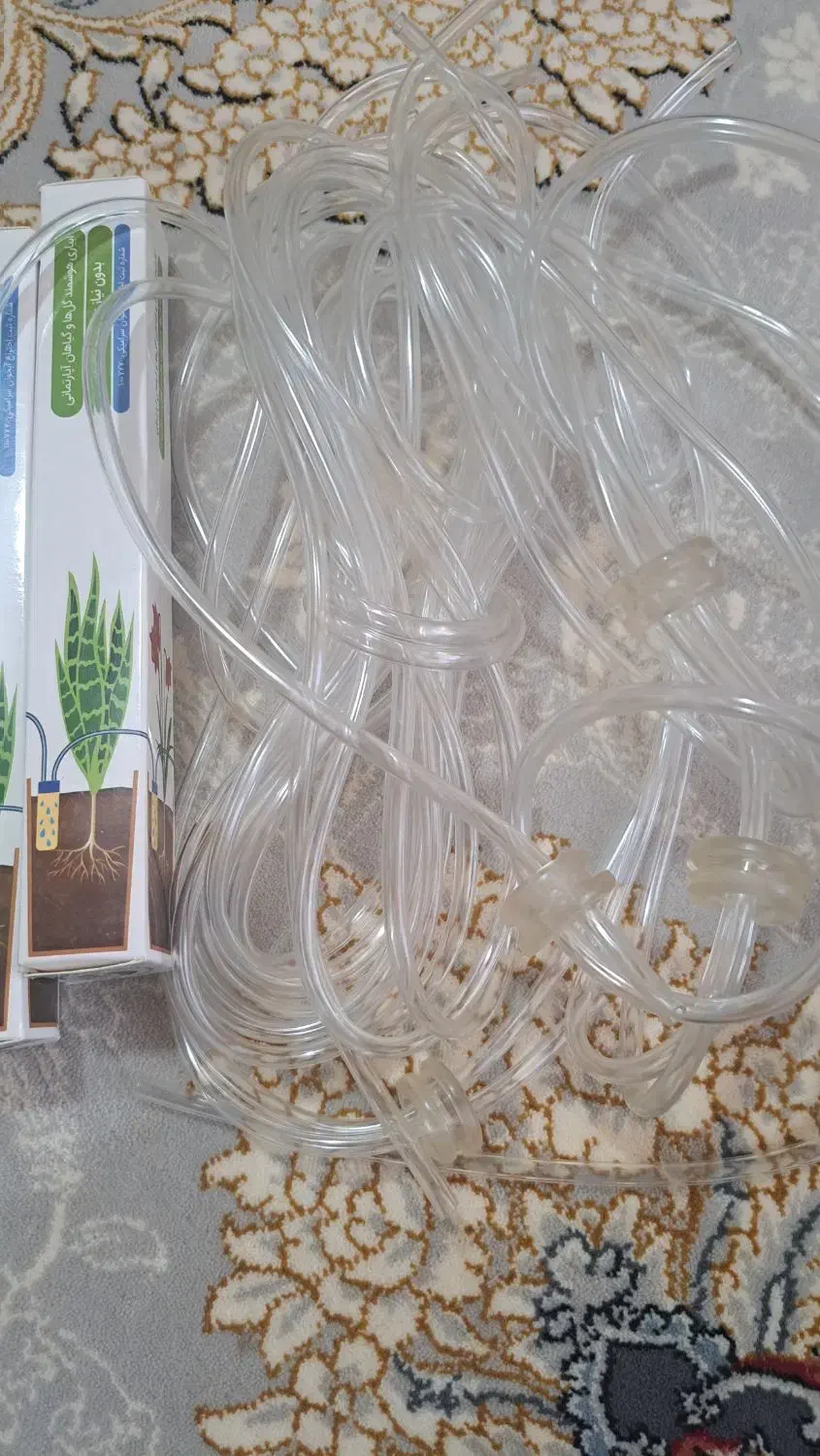 آبخوان گل|گل و گیاه طبیعی|هشتگرد, فاز ۲ مهستان|دیوار