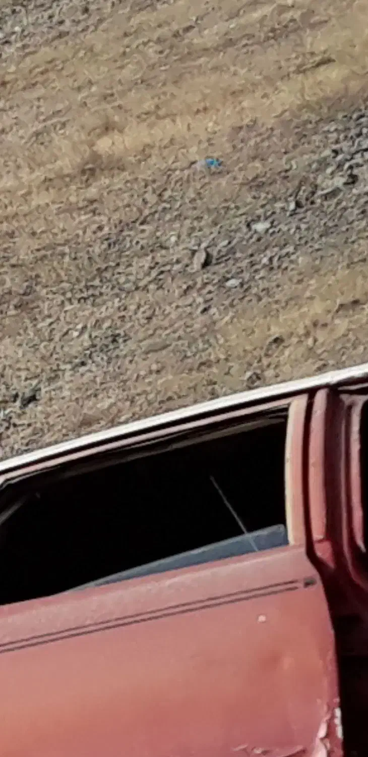 ماشین کلاسیک شورولت|خودرو کلاسیک|تهران, کوی فراز|دیوار