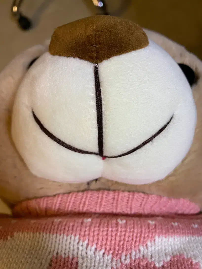 عروسک خرس پولیشی نو و آکبند|اسباب‌‌بازی|تبریز, |دیوار