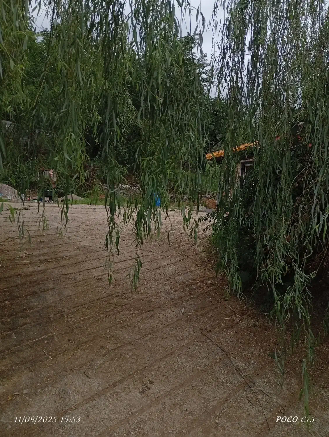 اجاره ویلا سالانه،ماهانه،روزانه|اجارهٔ خانه و ویلا|گوراب زرمیخ, |دیوار