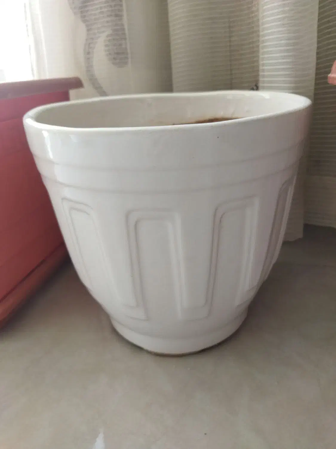 گلدان پلاستیکی وسرامیکی|گل و گیاه طبیعی|شیروان (خراسان), |دیوار