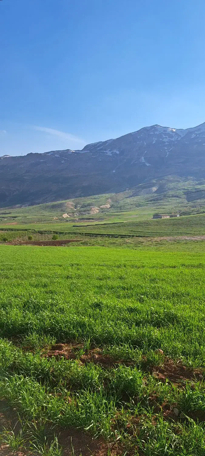 راننده پایه دوم هستم|خدمات حمل و نقل|شیراز, زرهی|دیوار