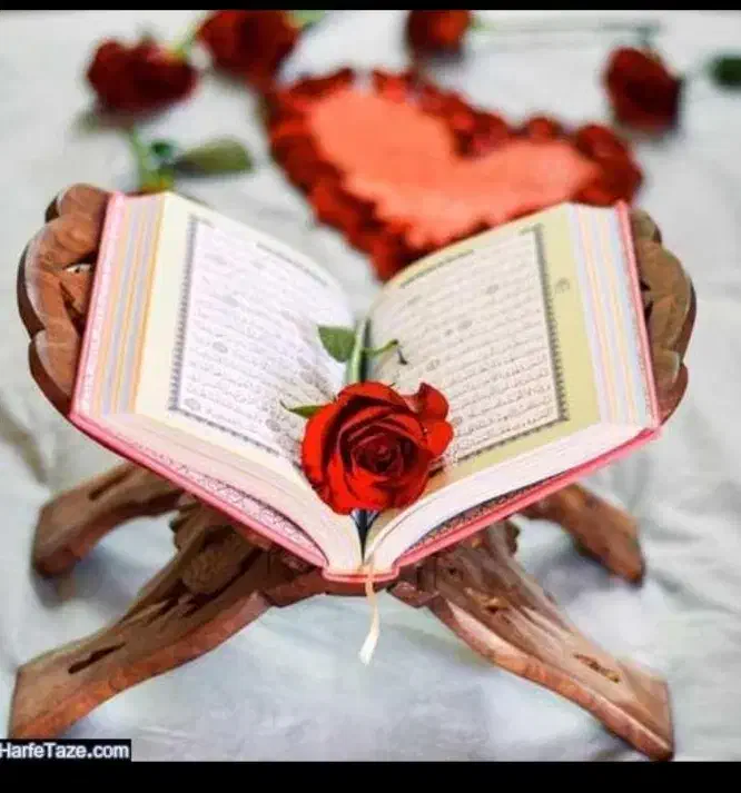 سید رضا کازرونی|فعالیت داوطلبانه تحقیقاتی|کازرون, |دیوار