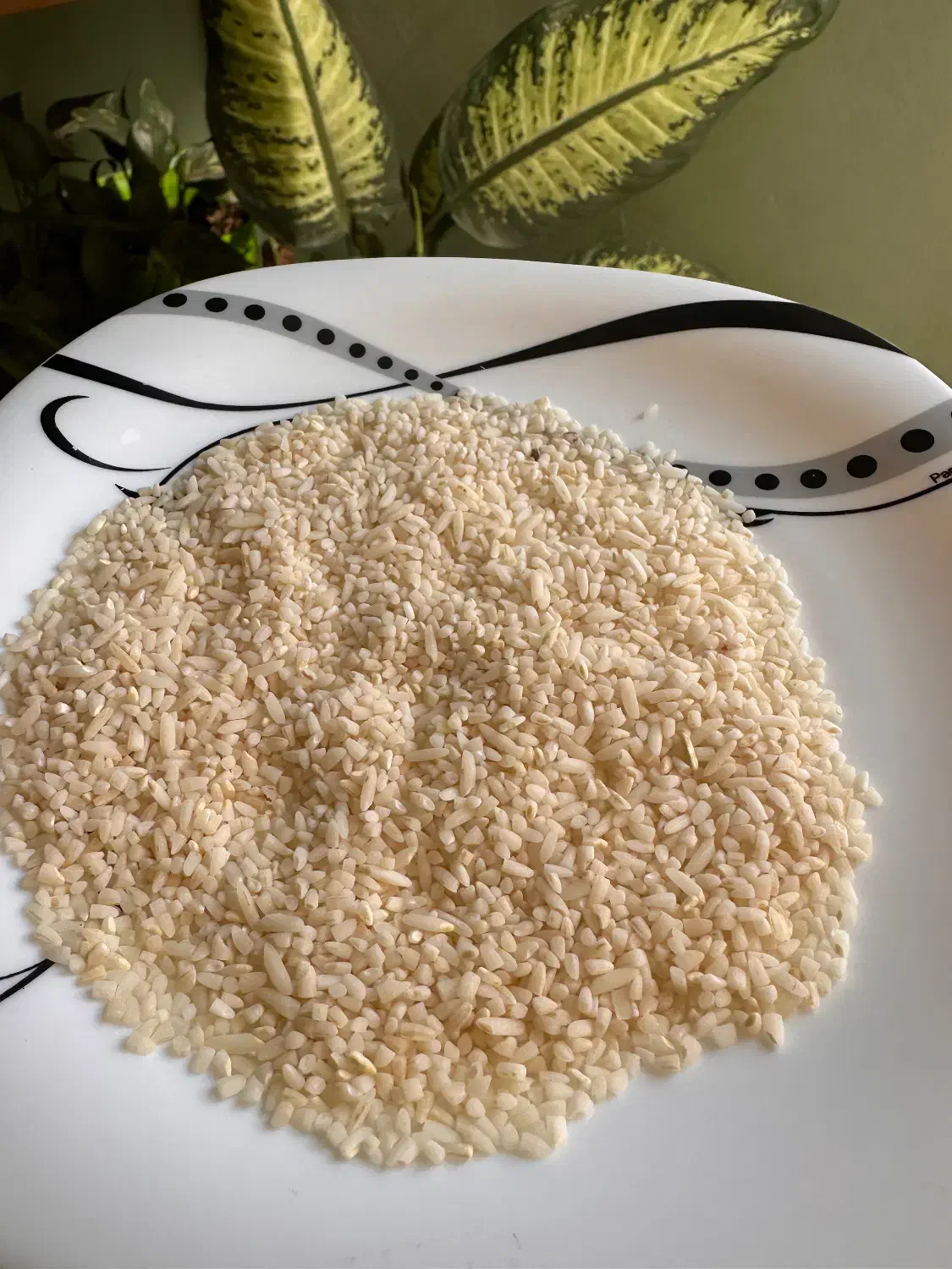 برنج نیم دانه ایرانی|خوردنی و آشامیدنی|فردیس, خیام شرقی|دیوار