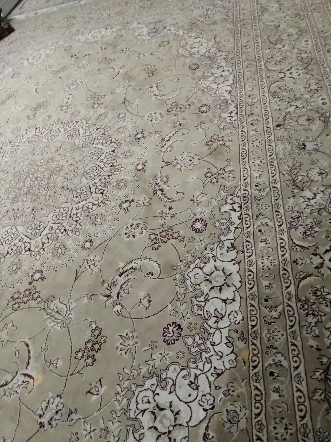 قالی فرش|فرش|نجف‌آباد, یزدانشهر|دیوار