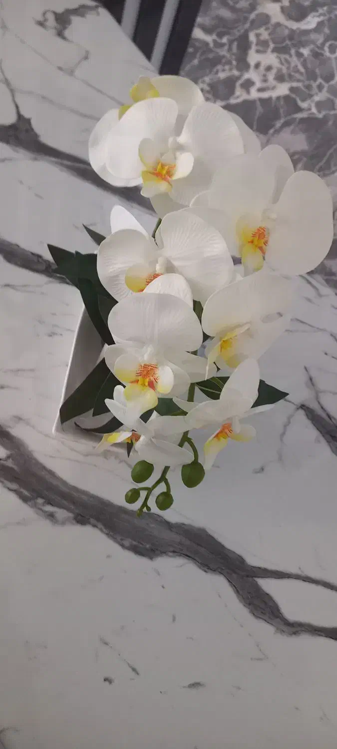 گل رو میزی|گل مصنوعی|کرج, کوی امامیه|دیوار