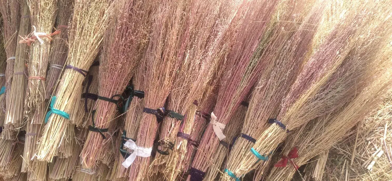 جاروی بلند|لوازم نظافت|یاسوج, |دیوار