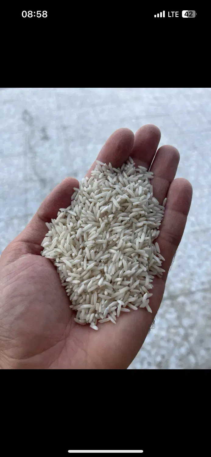 برنج مختار هاشمی سورتینگ شده تازه الک یک|خوردنی و آشامیدنی|پره‌سر, |دیوار