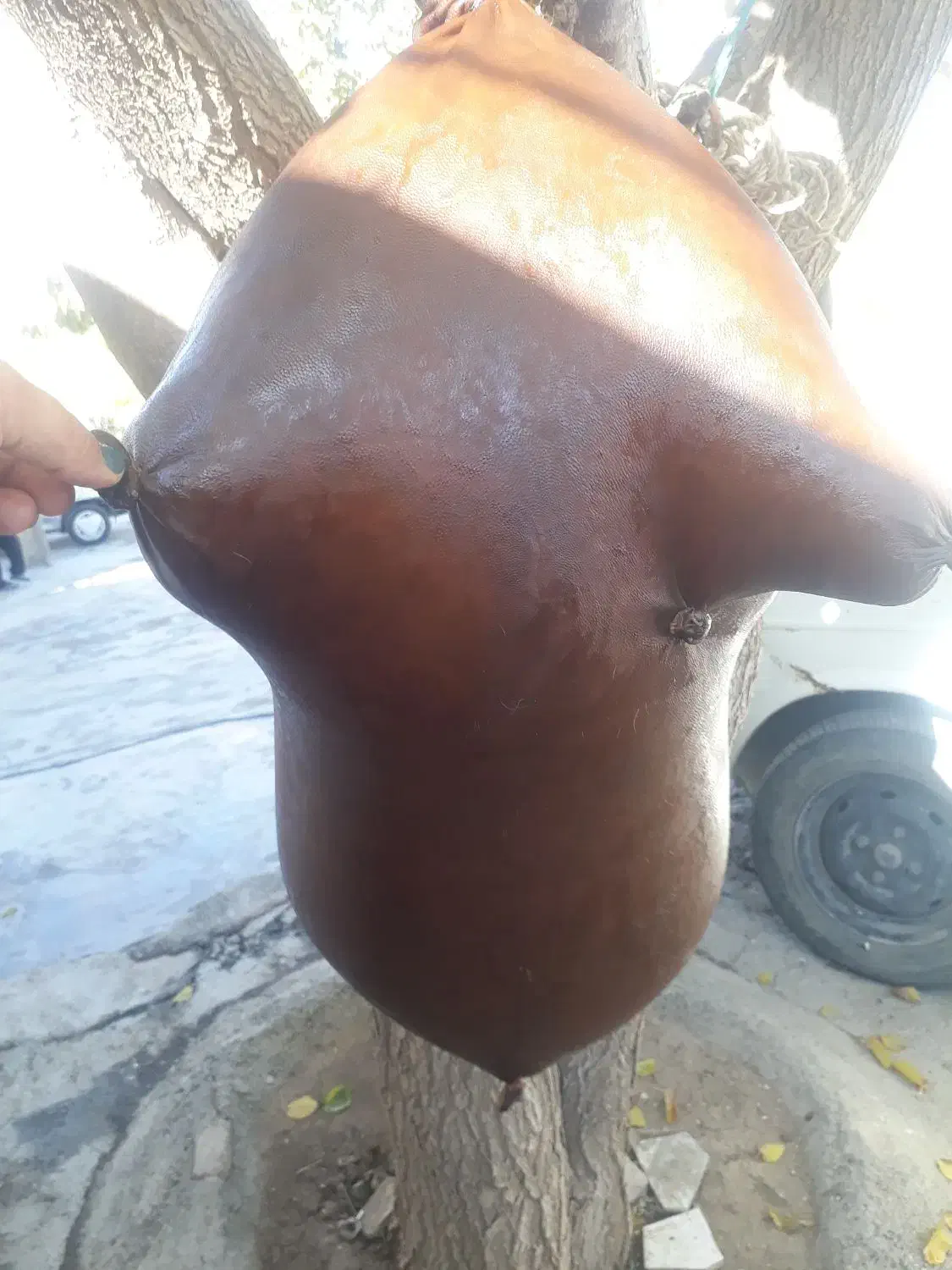 هیزه|ظروف نگهدارنده، پلاستیکی، یکبارمصرف|کرمانشاه, |دیوار