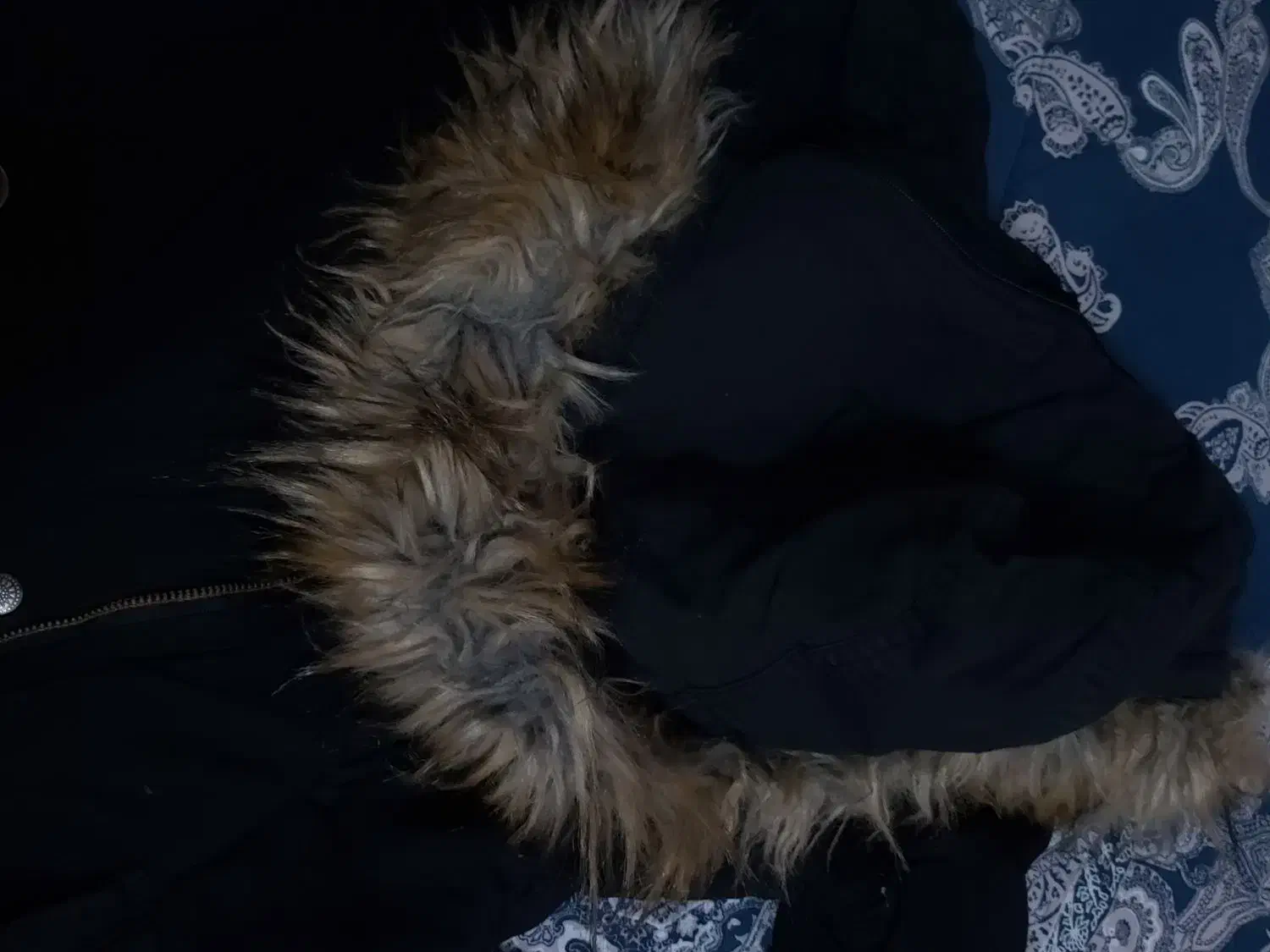 کاپشن در حد نو|لباس|کازرون, |دیوار