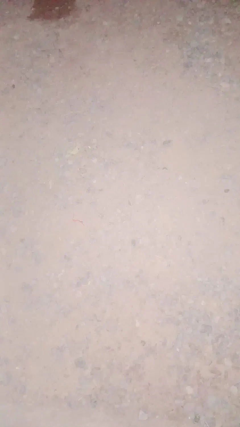 350|فروش زمین و ملک کلنگی|فهرج, |دیوار