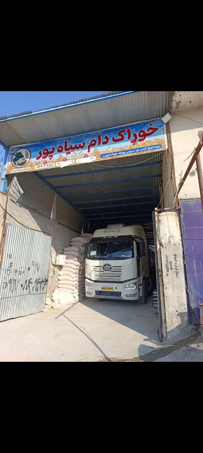 کاه گندم خوشه|لوازم جانبی حیوانات|خنج, |دیوار