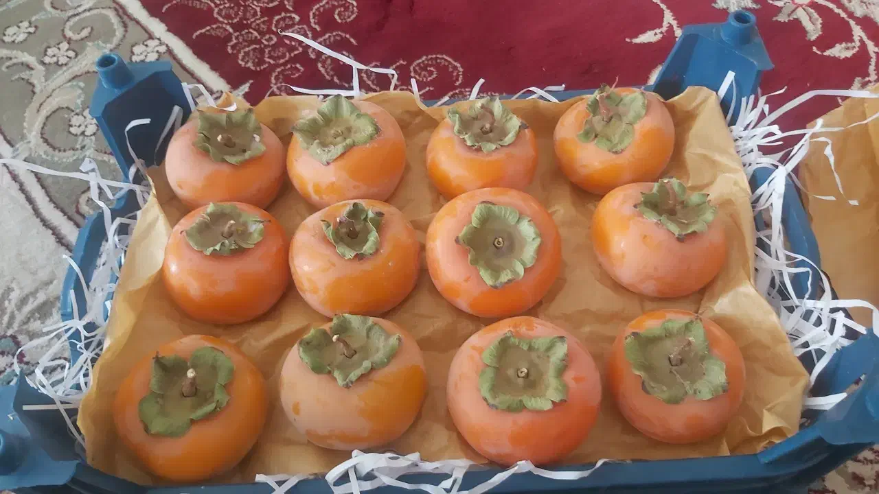 خرمالو|گل و گیاه طبیعی|سیروان, |دیوار