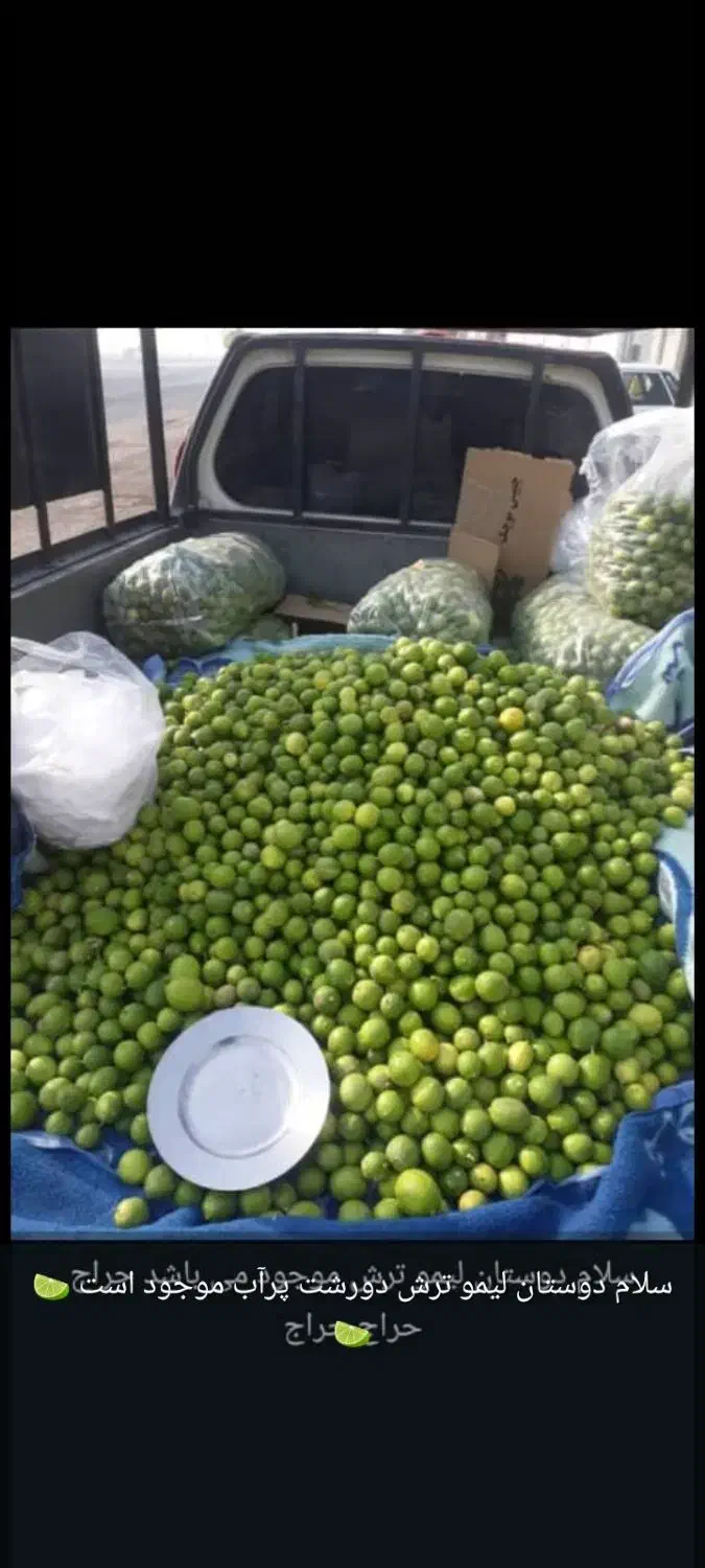 ابلیموصددرصد طبیعی از باغ شوشتر|خوردنی و آشامیدنی|اهواز, کوی فرهنگیان ۱|دیوار