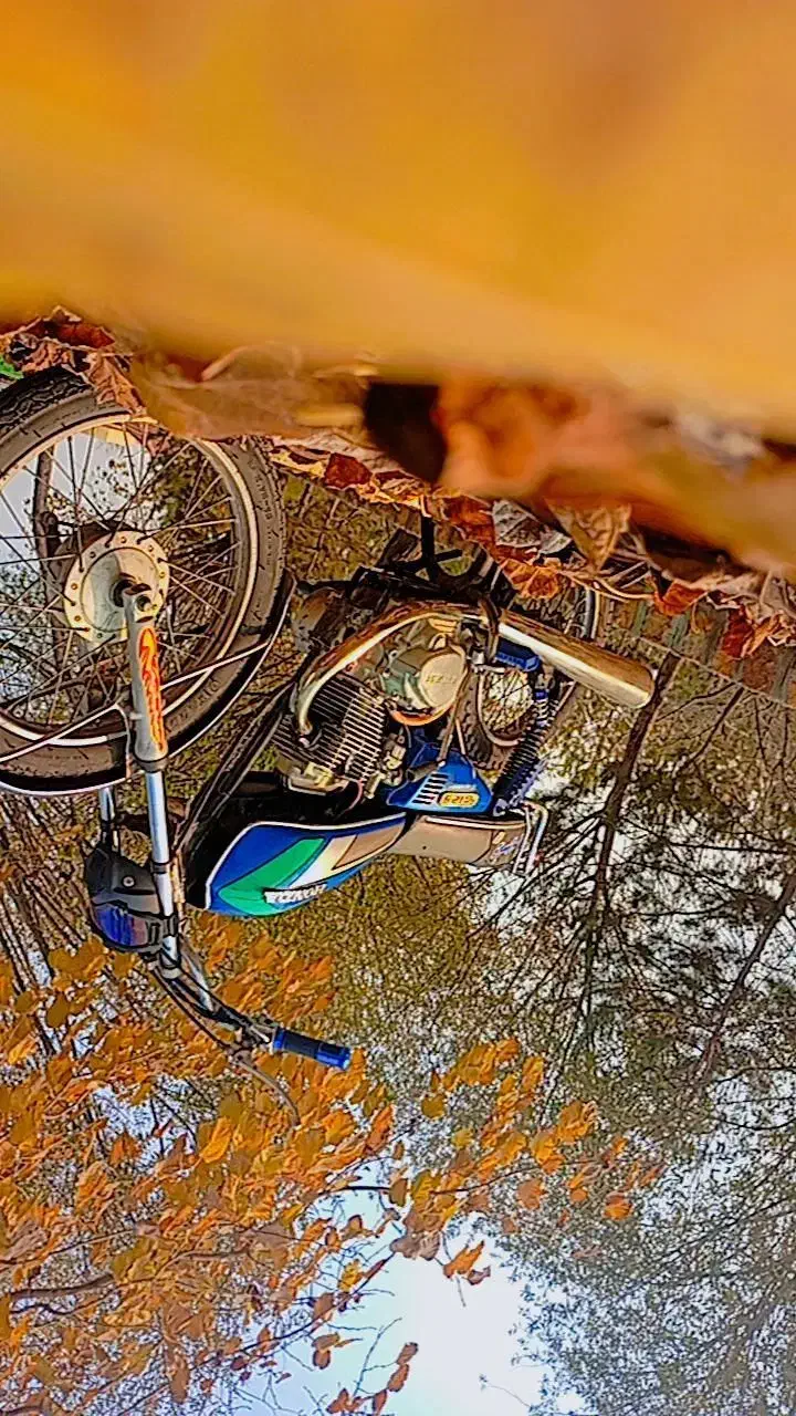 متور سیکلت مزایده ۲۵۰|موتورسیکلت|بناب, |دیوار