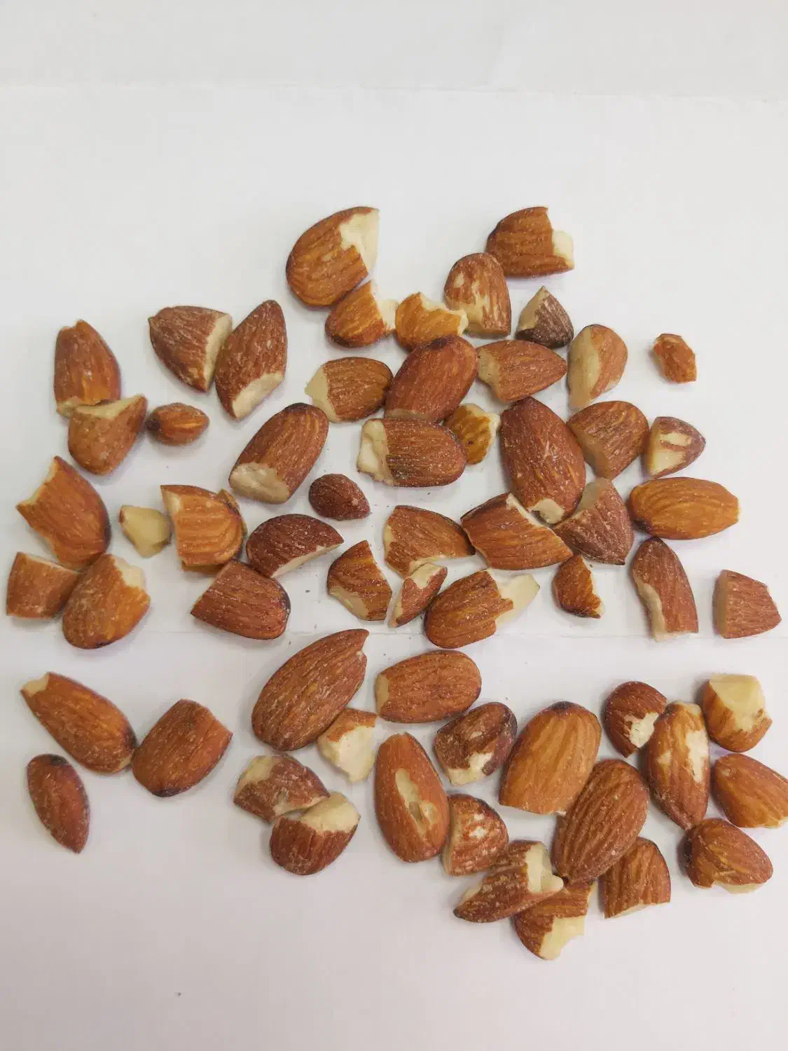 مغز بادام|خوردنی و آشامیدنی|شیراز, شهرک کوثر|دیوار