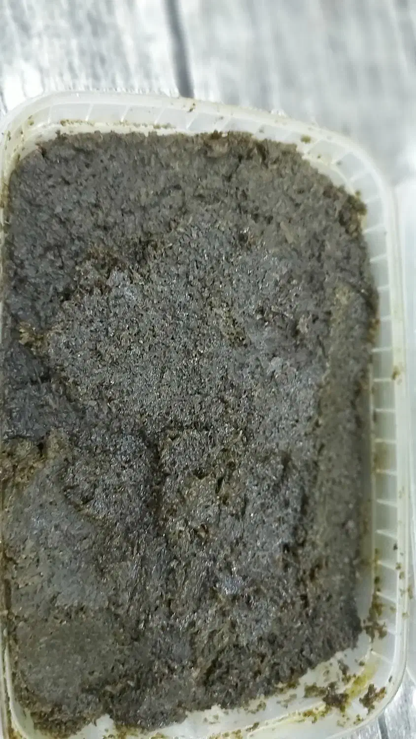 سبزی سرخ شده|خوردنی و آشامیدنی|رشت, حمیدیان|دیوار