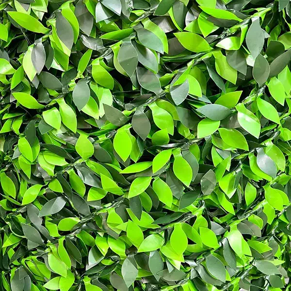 طرح برگ پرتقالی فنس پر تراکم|گل و گیاه طبیعی|یزد, |دیوار